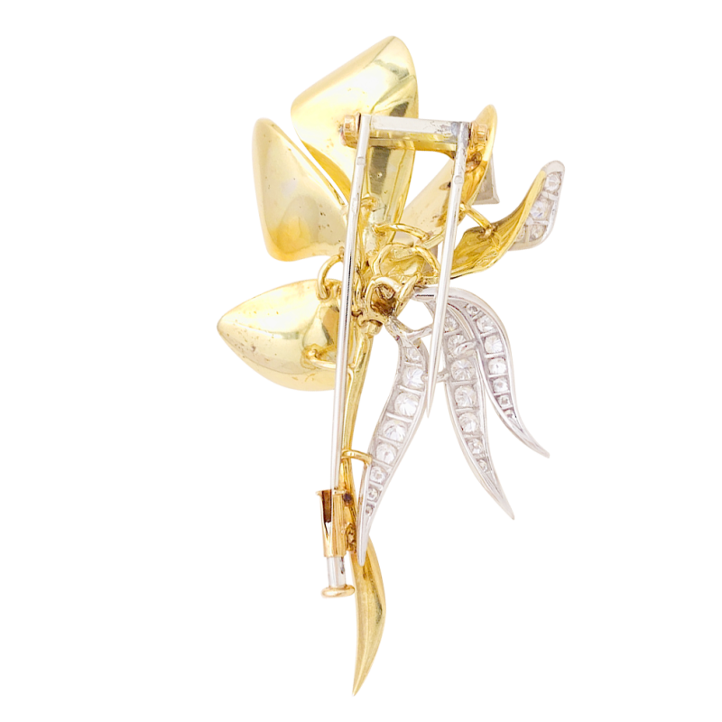 Vintage platinum, gold and diamonds "Iris" brooch.