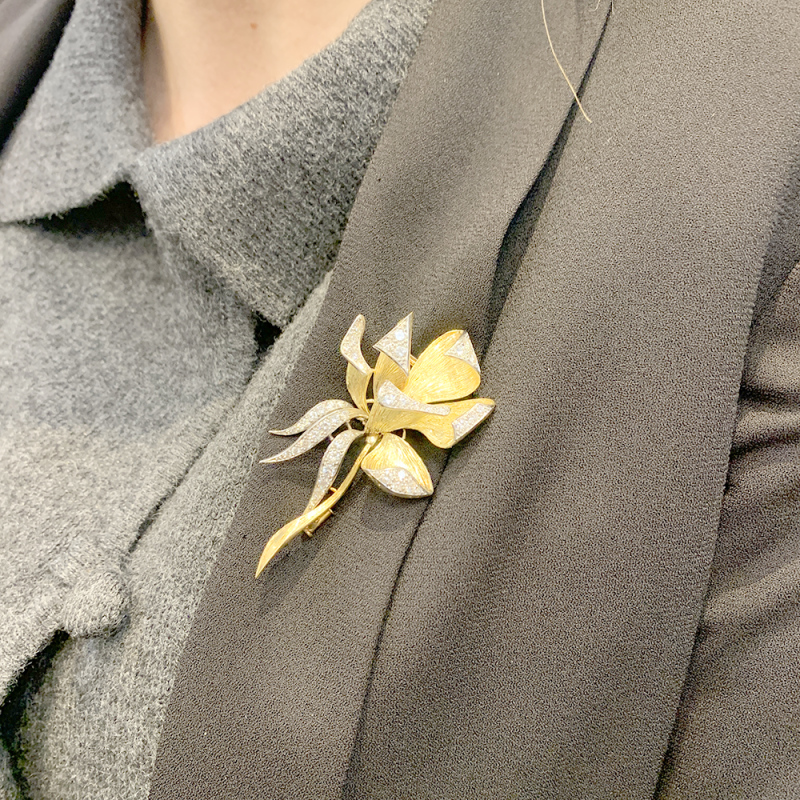 Vintage platinum, gold and diamonds "Iris" brooch.