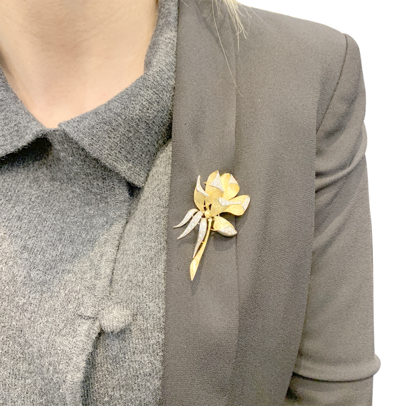 Vintage platinum, gold and diamonds "Iris" brooch.